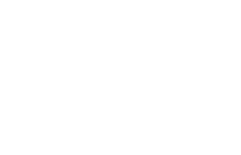 logo apex